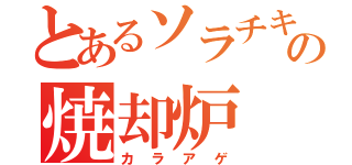 とあるソラチキの焼却炉（カラアゲ）