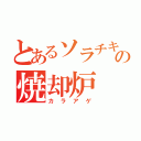 とあるソラチキの焼却炉（カラアゲ）