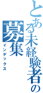 とある未経験者の募集（インデックス）