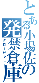 とある小場佐の発禁倉庫（クローゼット）