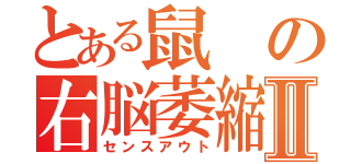 とある鼠の右脳萎縮Ⅱ（センスアウト）