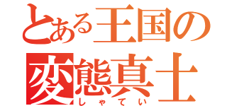 とある王国の変態真士（しゃてい）