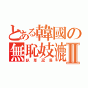 とある韓國の無恥妓漉Ⅱ（臥草泥馬）