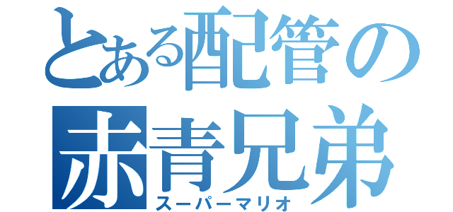 とある配管の赤青兄弟（スーパーマリオ）