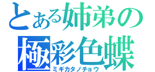 とある姉弟の極彩色蝶（ミギカタノチョウ）