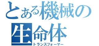 とある機械の生命体（トランスフォーマー）