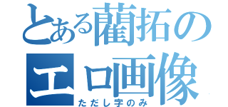 とある藺拓のエロ画像（ただし字のみ）