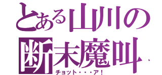 とある山川の断末魔叫（チョット・・・ア！）