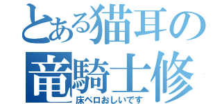 とある猫耳の竜騎士修行（床ペロおしいです）