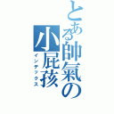 とある帥氣の小屁孩（インデックス）