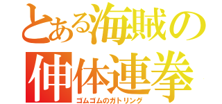とある海賊の伸体連拳（ゴムゴムのガトリング）