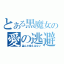 とある黒魔女の愛の逃避行（盗んだ覚えはない）