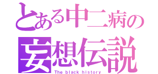 とある中二病の妄想伝説（Ｔｈｅ ｂｌａｃｋ ｈｉｓｔｏｒｙ）