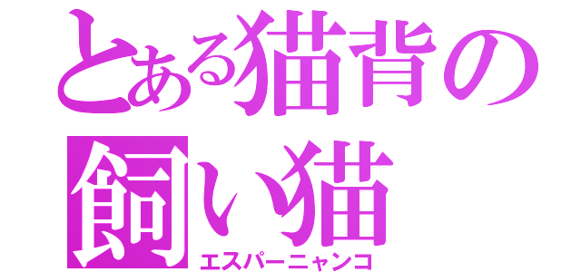 とある猫背の飼い猫（エスパーニャンコ）