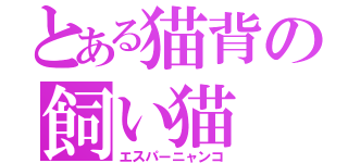 とある猫背の飼い猫（エスパーニャンコ）