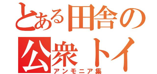 とある田舎の公衆トイレ（アンモニア集）