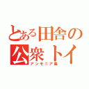 とある田舎の公衆トイレ（アンモニア集）