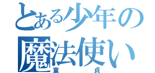 とある少年の魔法使い（童貞）