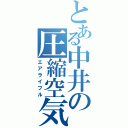 とある中井の圧縮空気銃（エアライフル）