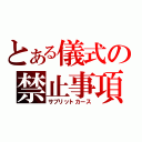 とある儀式の禁止事項（サブリットカース）