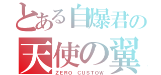 とある自爆君の天使の翼（ＺＥＲＯ ＣＵＳＴＯＷ）