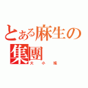 とある麻生の集團（大小姐）