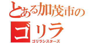 とある加茂市のゴリラ（ゴリラシスターズ）