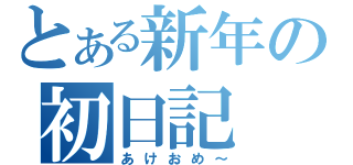 とある新年の初日記（あけおめ～）