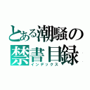 とある潮騒の禁書目録（インデックス）