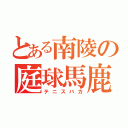 とある南陵の庭球馬鹿（テニスバカ）