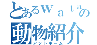 とあるｗａｔａｐｏの動物紹介（アットホーム）