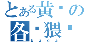 とある黄维の各种猥琐（ｂａｇａ）