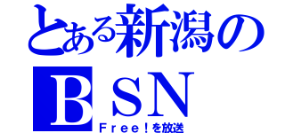 とある新潟のＢＳＮ（Ｆｒｅｅ！を放送）