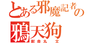 とある邪魔記者の鴉天狗（射命丸 文）