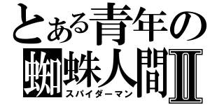 とある青年の蜘蛛人間Ⅱ（スパイダーマン）