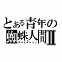 とある青年の蜘蛛人間Ⅱ（スパイダーマン）