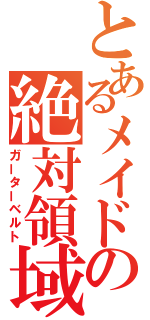 とあるメイドの絶対領域（ガーターベルト）