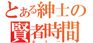 とある紳士の賢者時間（ふぅ…）