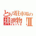 とある駐車場の排泄物！！Ⅱ（処理不可能）