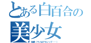 とある白百合の美少女（加納（ウソはアカンって……））