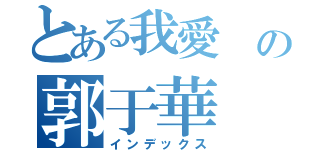 とある我愛 の郭于華（インデックス）