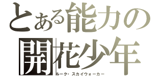 とある能力の開花少年（ルーク・スカイウォーカー）