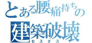 とある腰痛持ちの建築破壊（セスタス）