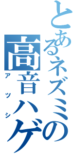 とあるネズミの高音ハゲ（アツシ）