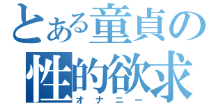 とある童貞の性的欲求（オナニー）