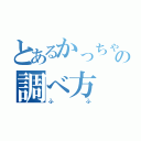 とあるかっちゃんの調べ方（ふふ）