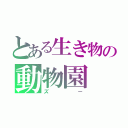 とある生き物の動物園（ズー）