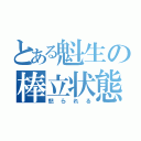 とある魁生の棒立状態（怒られる）