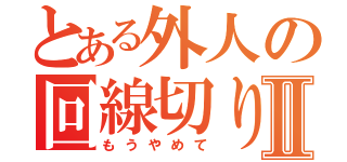 とある外人の回線切りⅡ（もうやめて）