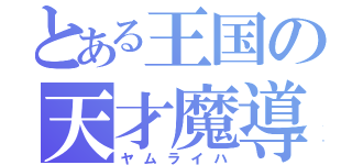 とある王国の天才魔導士（ヤムライハ）